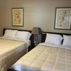 Executive 2 Bedroom / 2 Bath Condo in The Woodland